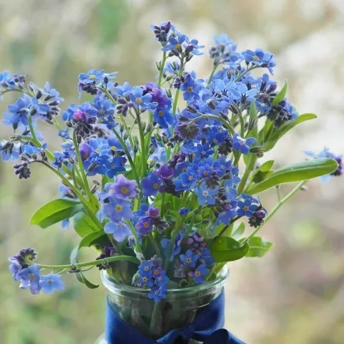 Bouquet of vibrant blue flowers