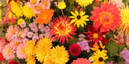 Diverse colorful floral arrangement