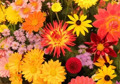 Diverse colorful floral arrangement